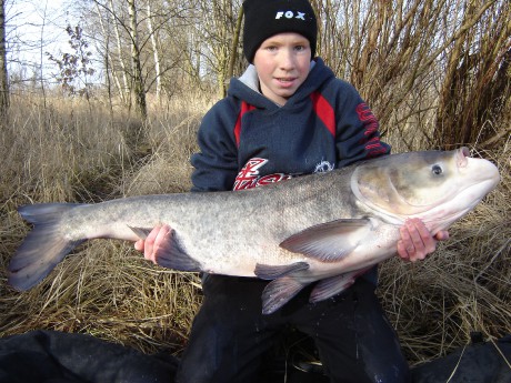 16,5kg